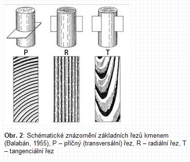 rezy-drevem-zdroj-www_vscht_cz