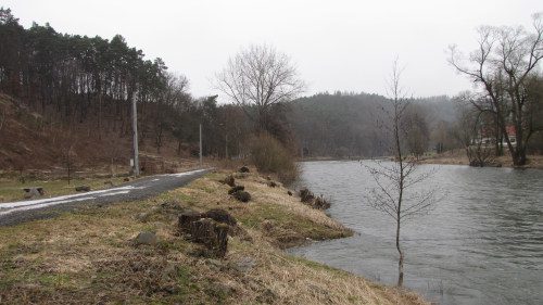 zlenice-od-ctyrkol