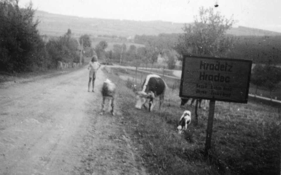 Hradec-foto-p-Prokopa-04