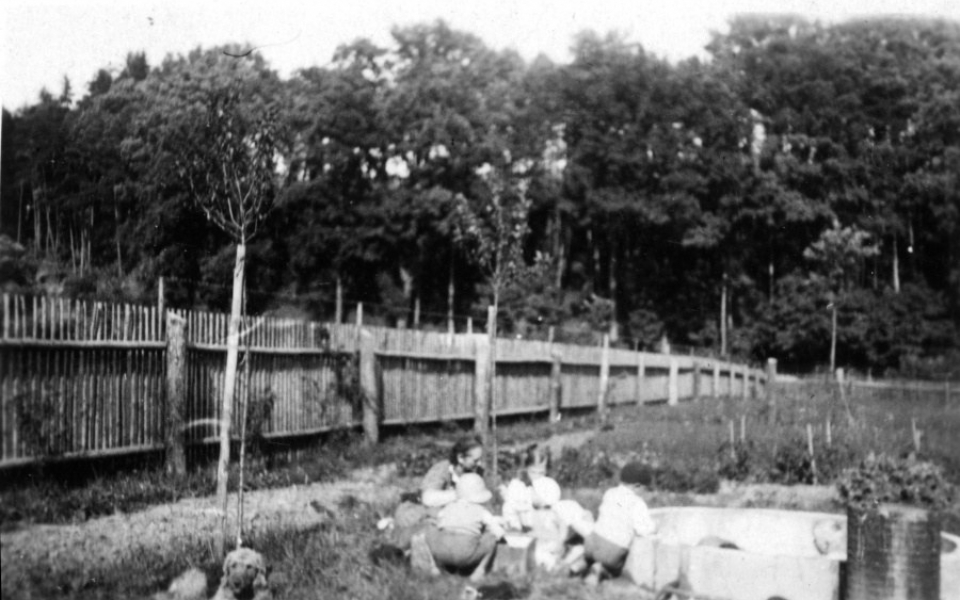 Hradec-foto-p-Prokopa-11